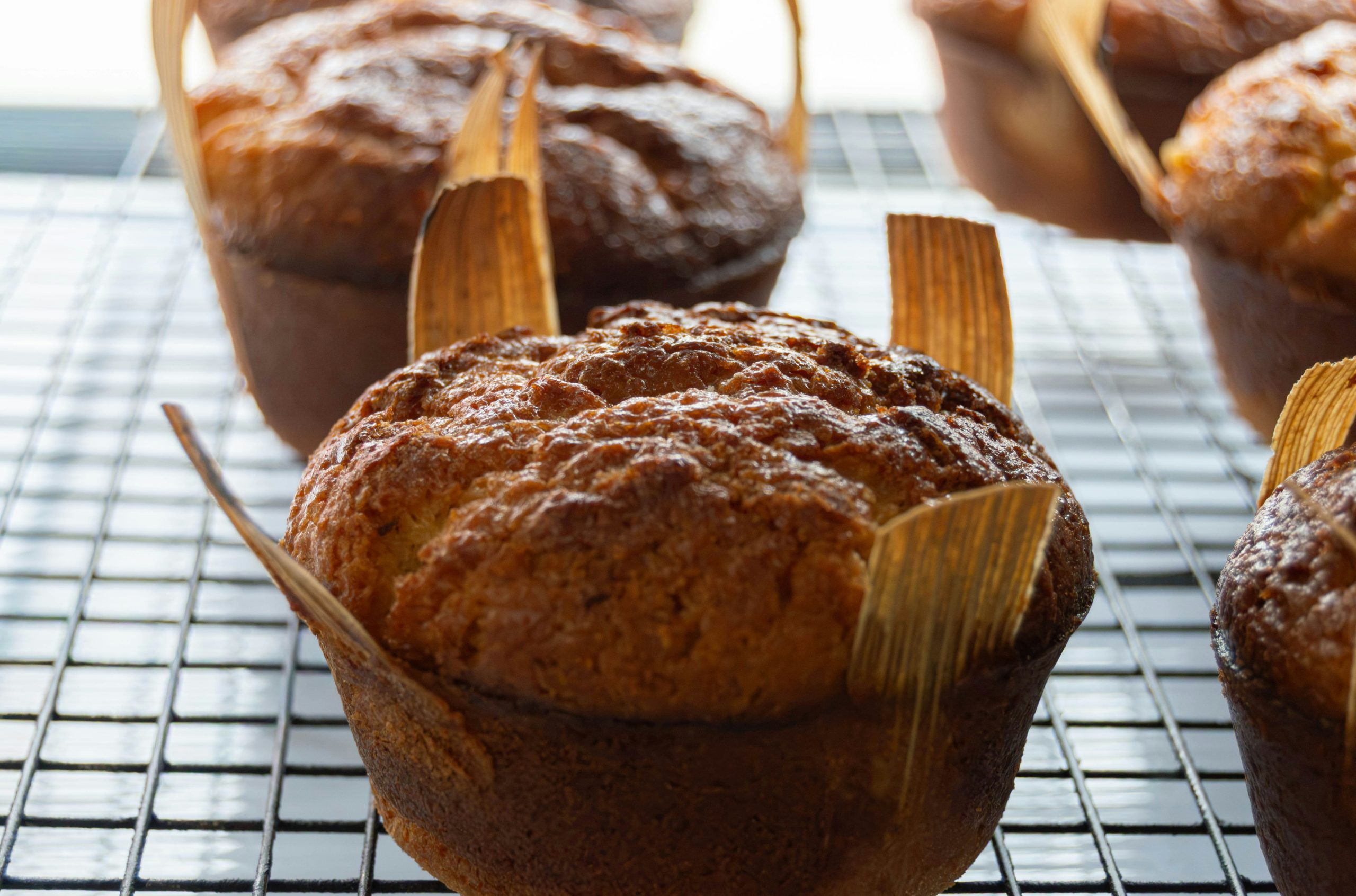 Silken Golden Brown Muffins