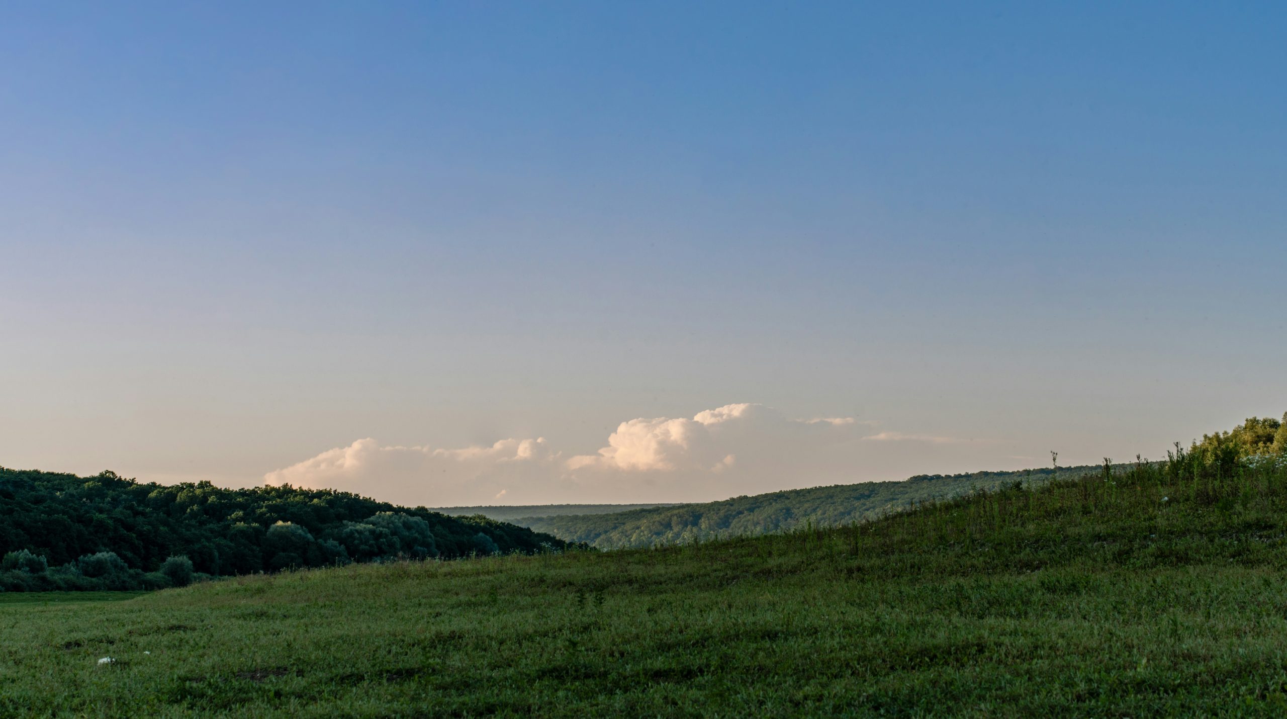 Sleek Grassy Meadow Sloping Toward