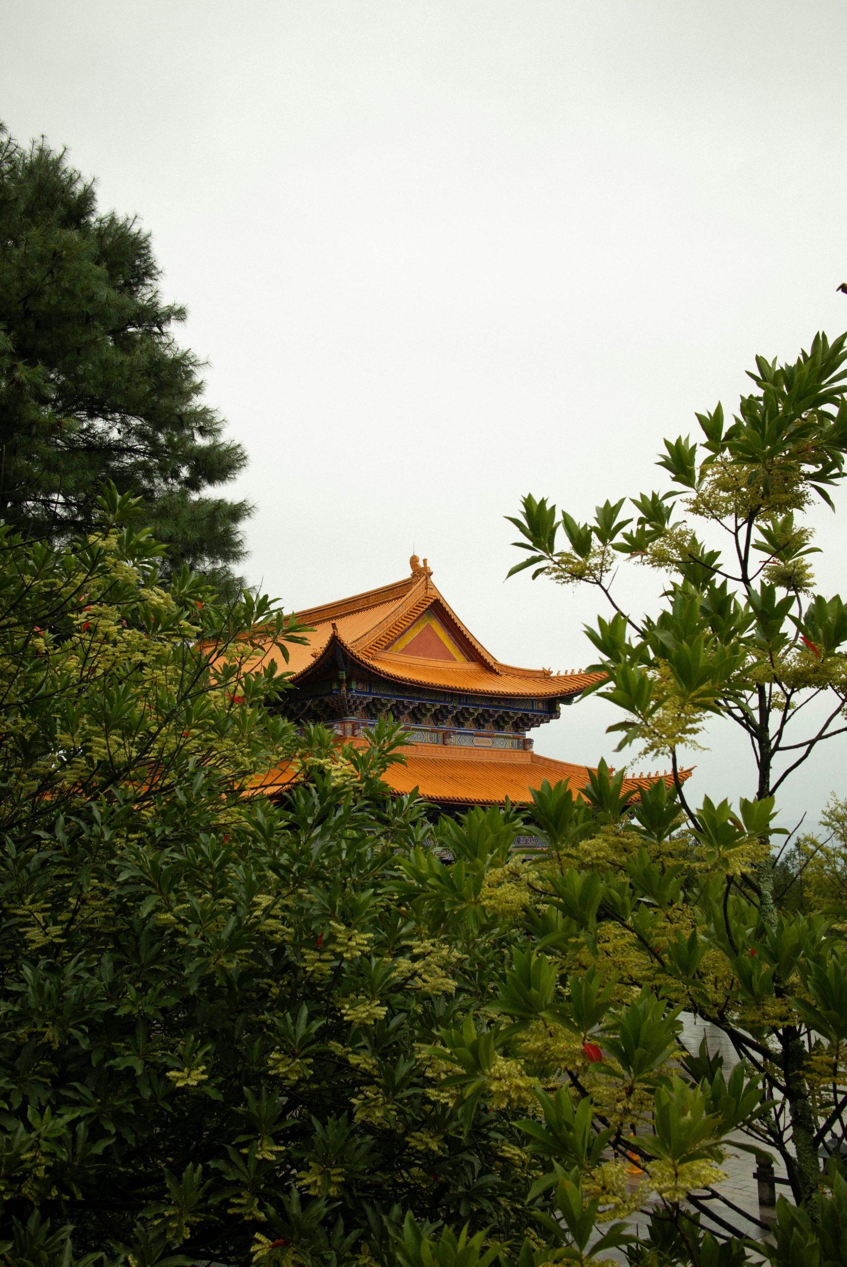 Sleek Traditional Chinese Temple