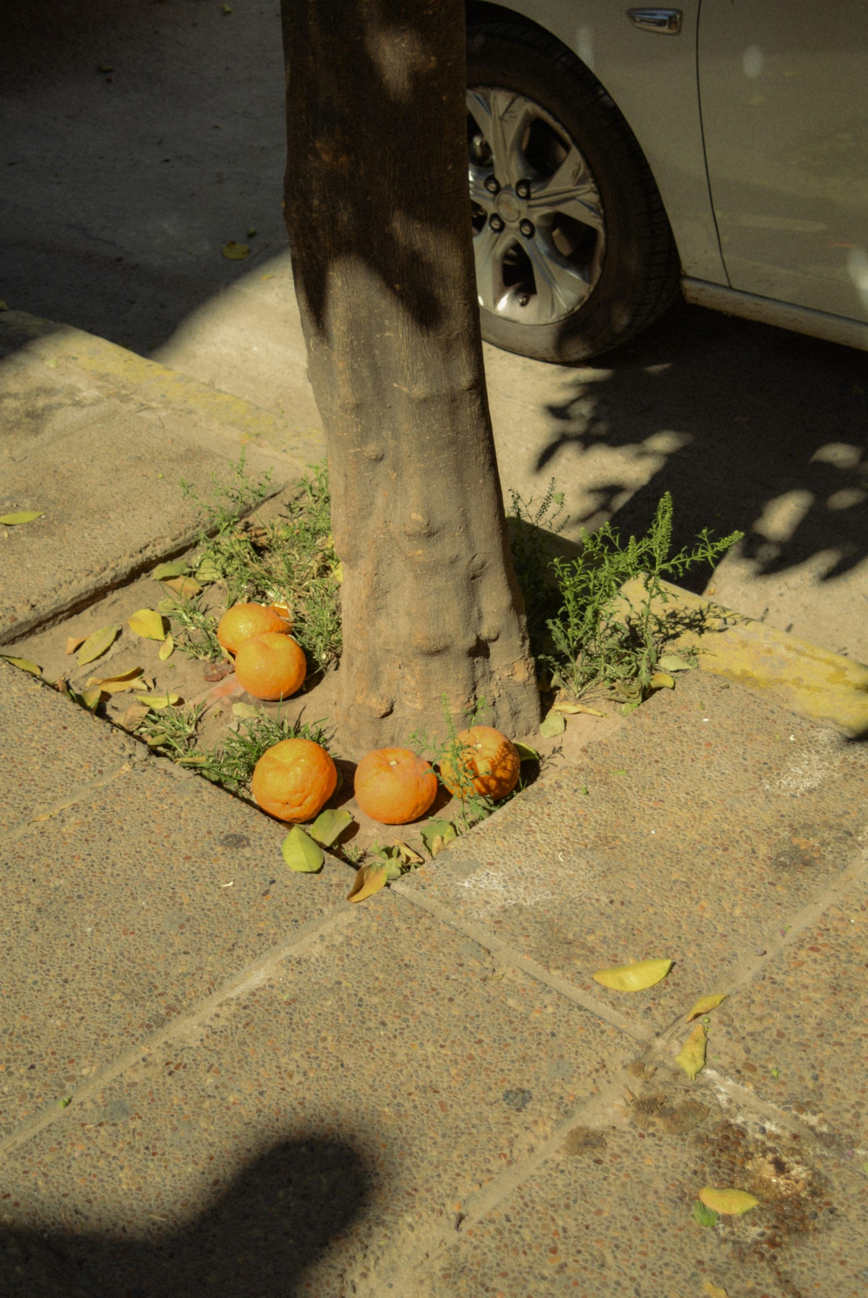 Smoldering Five Oranges