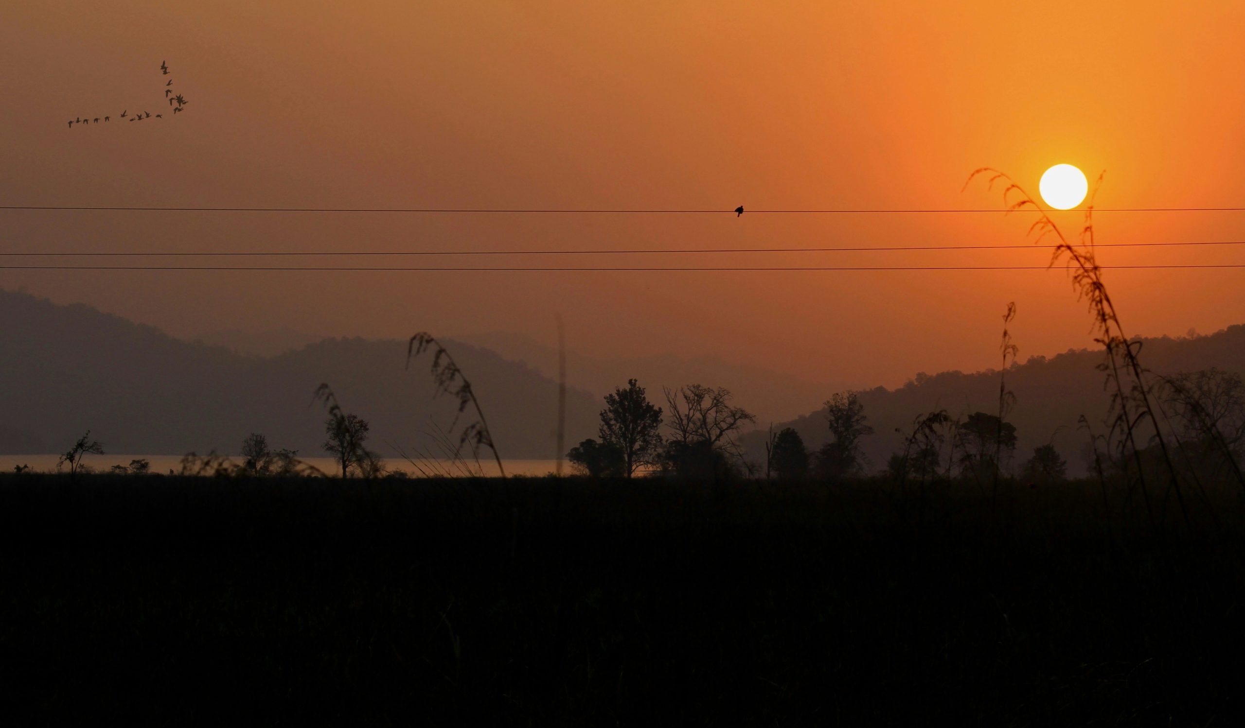 Sunlit Low Sun