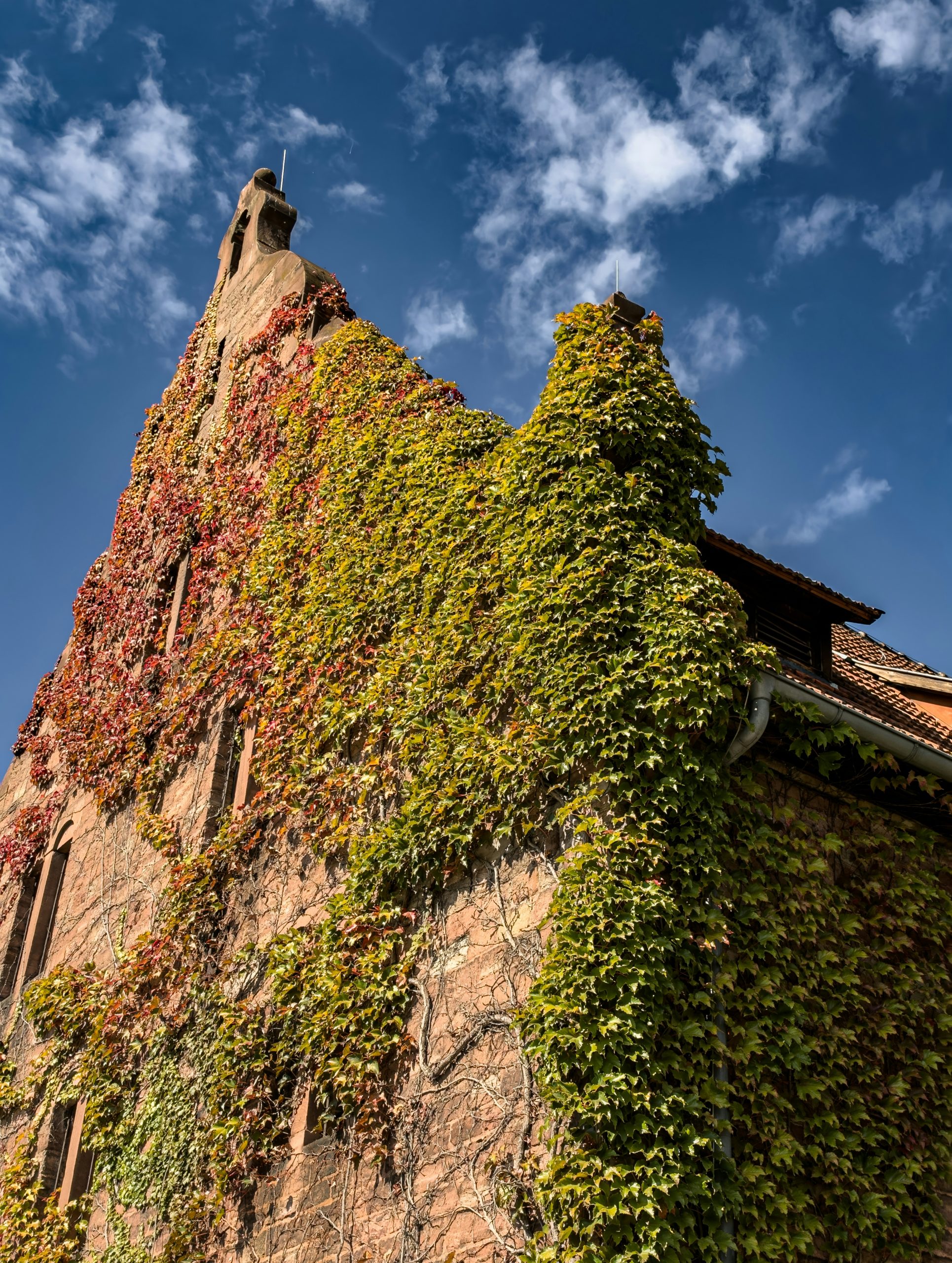 Sunlit Stone Building Facade Covered