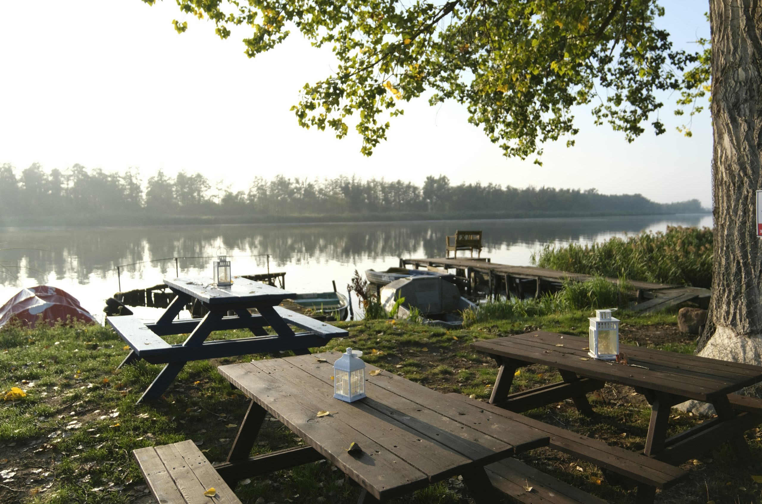 Tranquil Wooden Picnic Tables