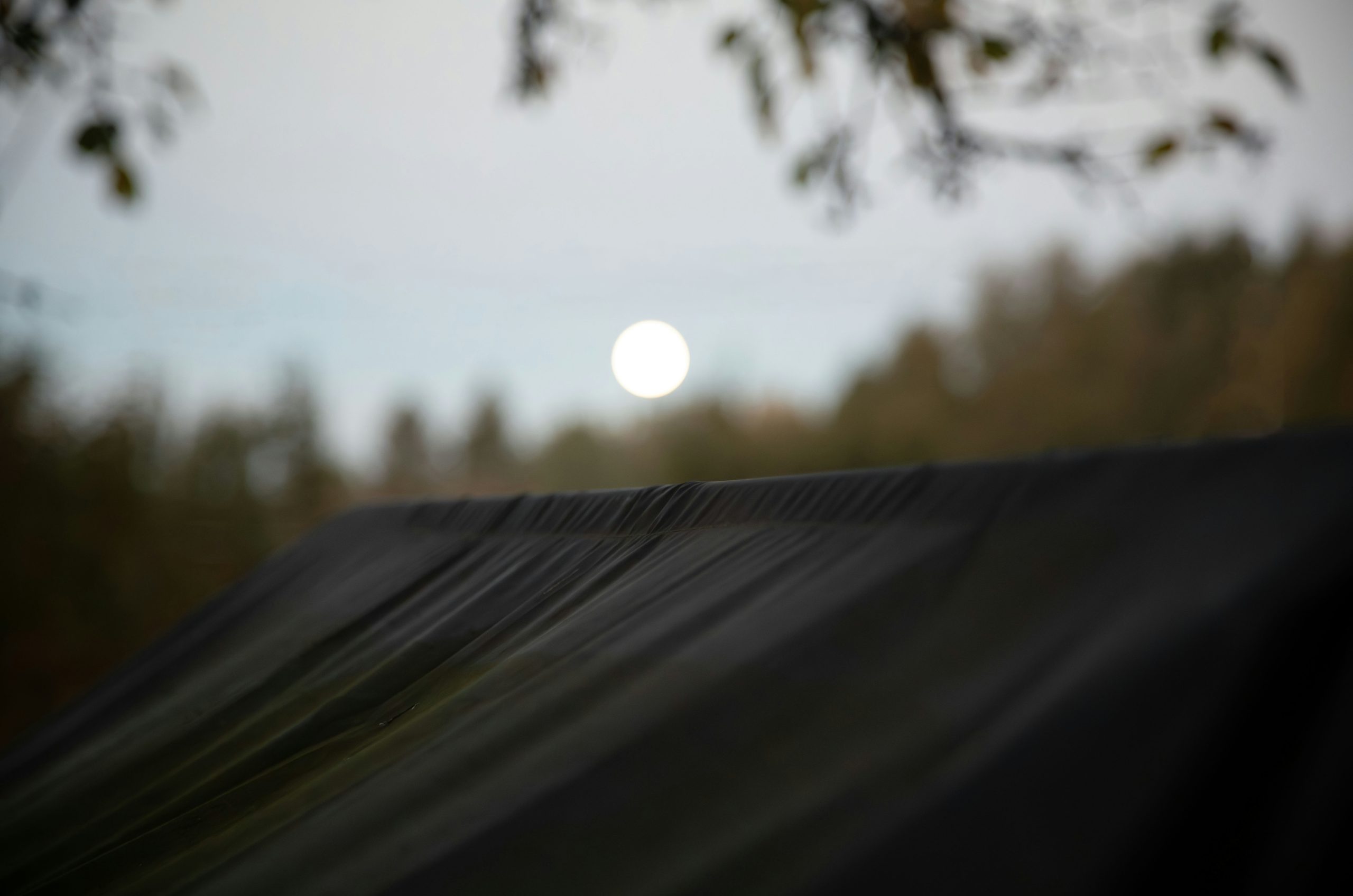 Twilit Dark Tent Roof