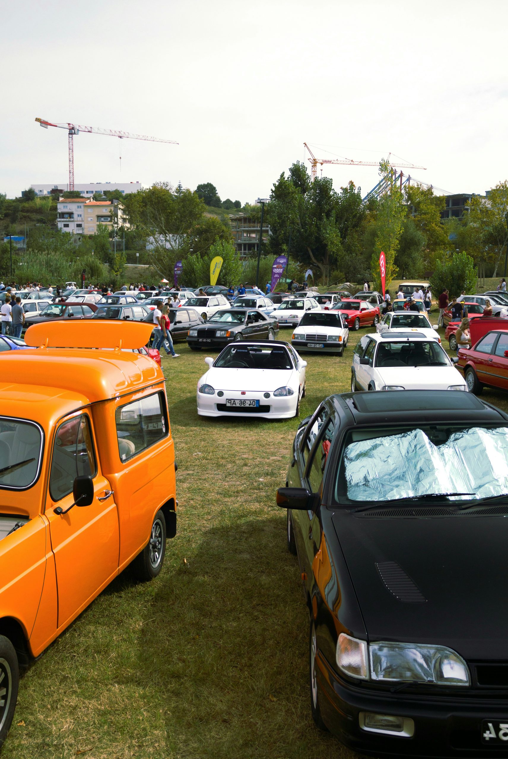 Twilit Gathering Of Various
