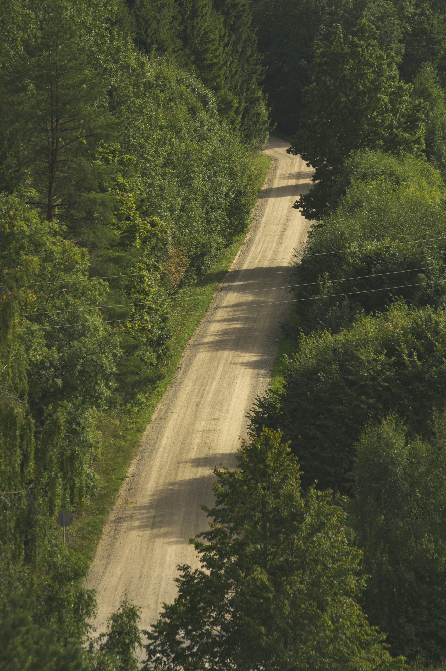 Untamed Dirt Road Winding Through