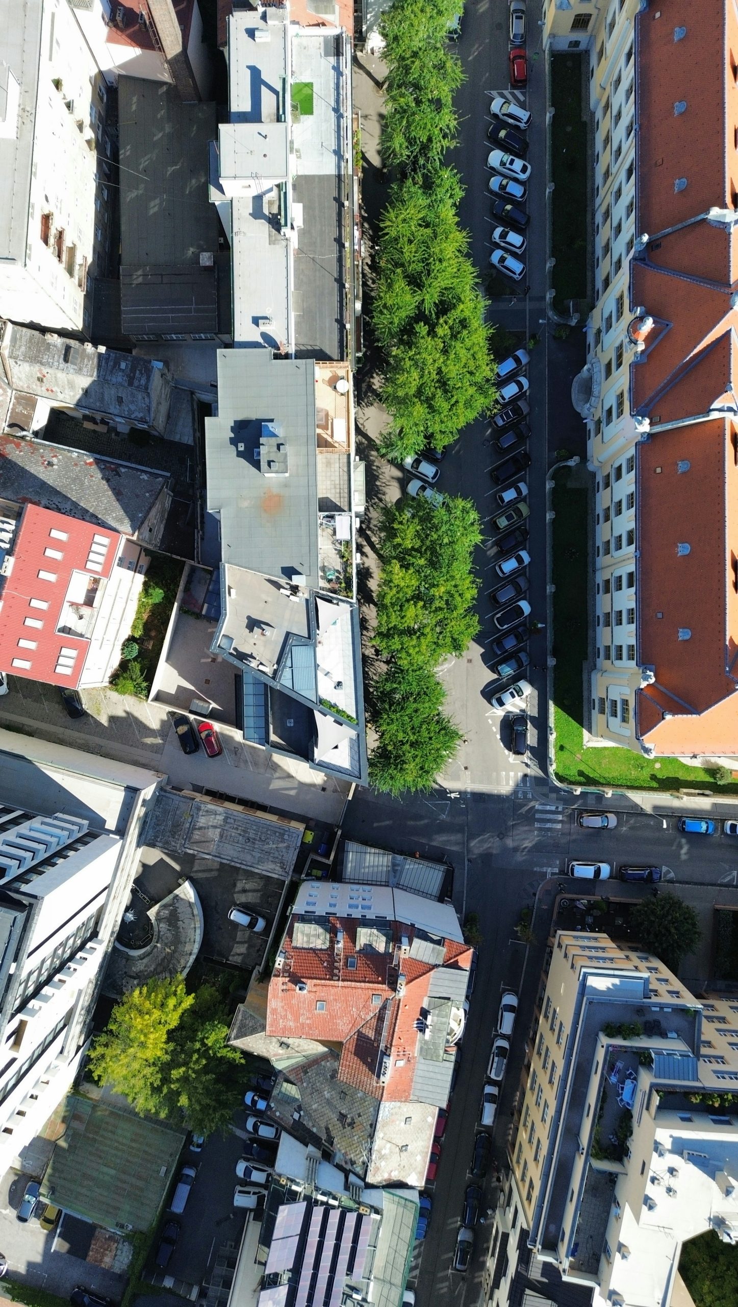 Velvet Aerial View