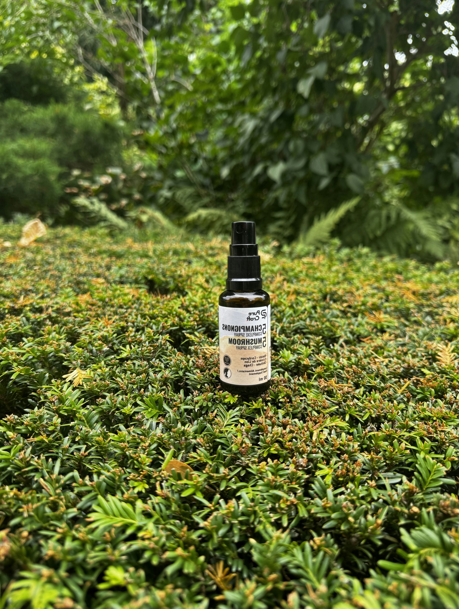 Velvet Small Spray Bottle