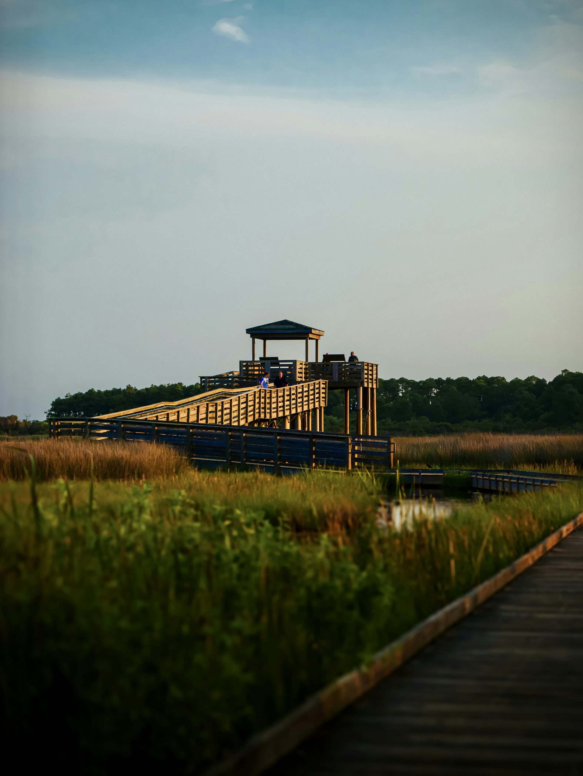 Velvet Wooden Observation Tower