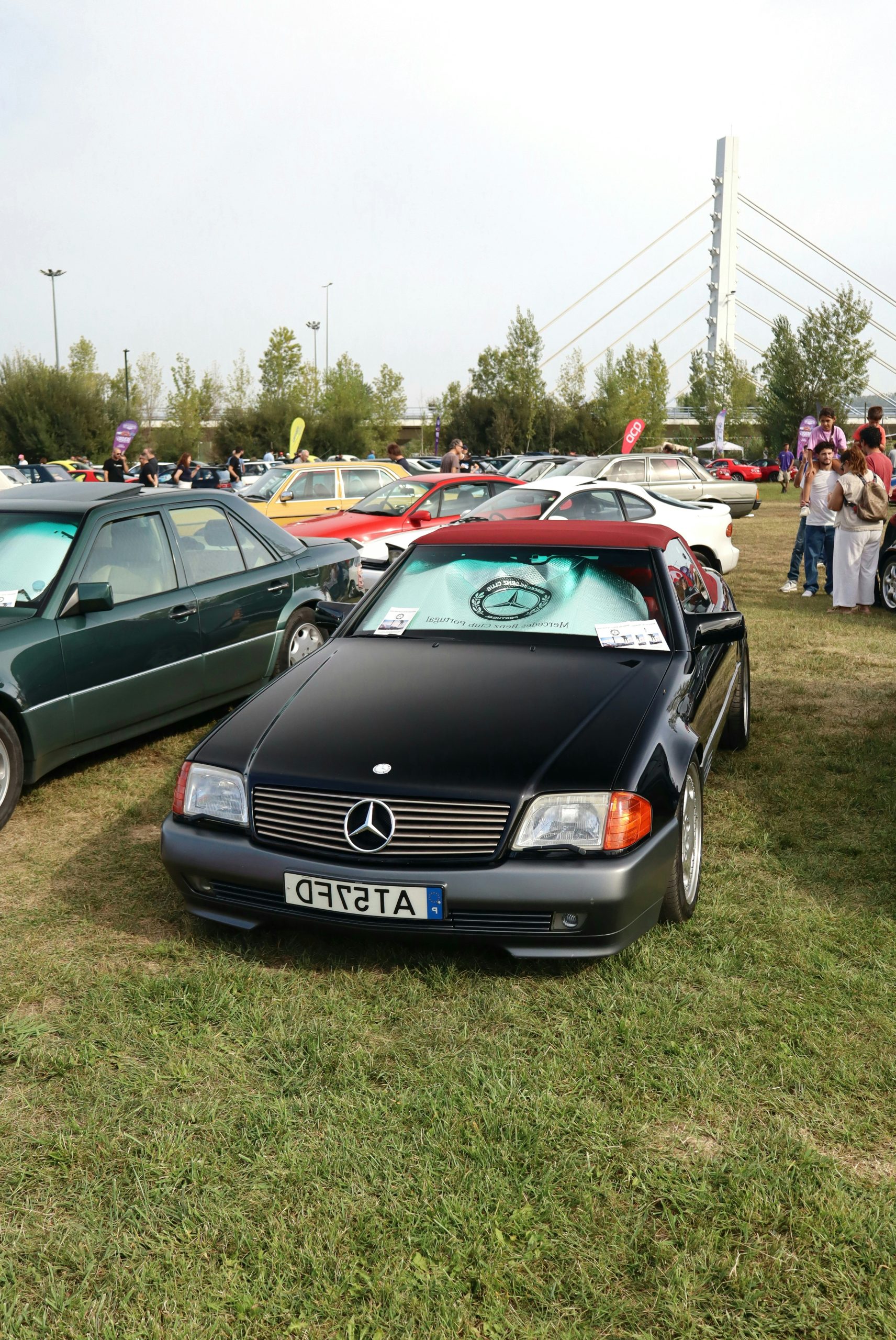 Verdant Black Mercedes-Benz Convertible Parked
