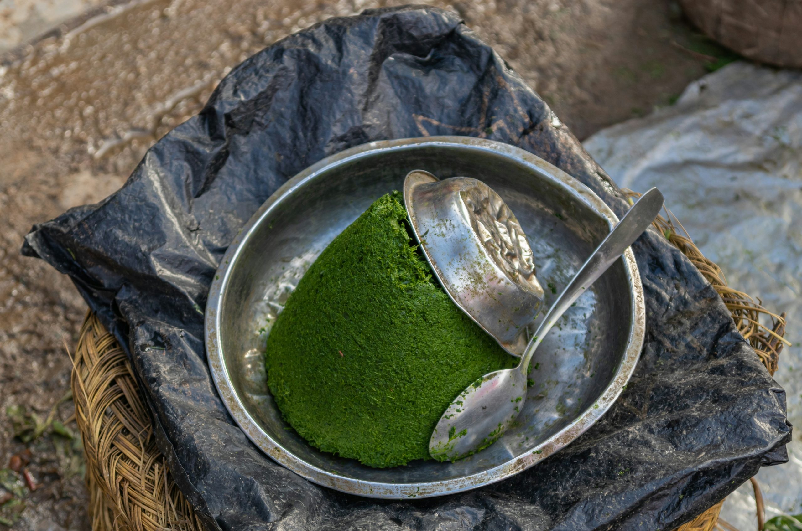 Verdant Cone Of Finely