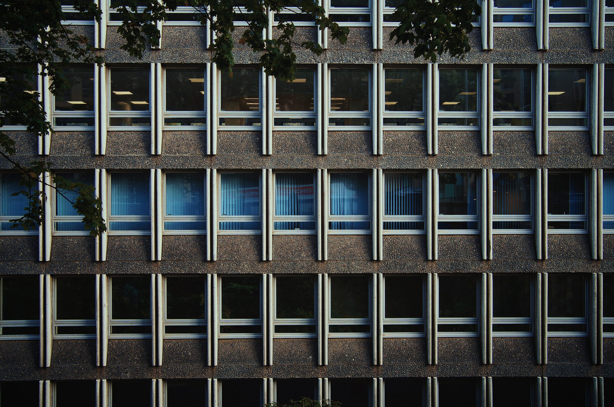 Verdant Grid Of Windows