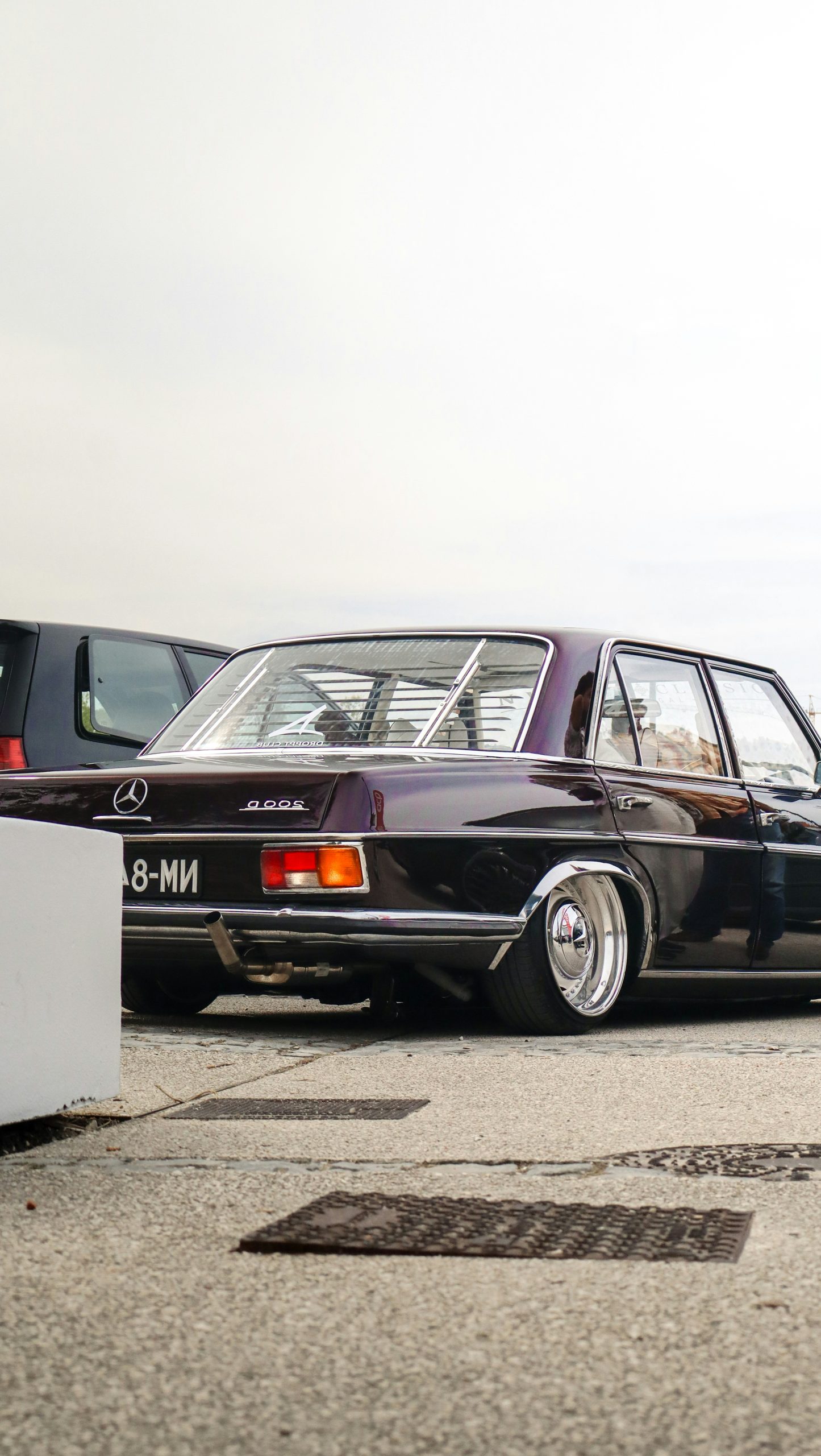 Verdant Lowered Dark Purple Vintage